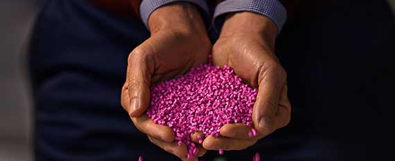 person holding pink pellets